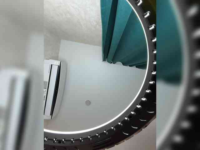 Ellidi webcam