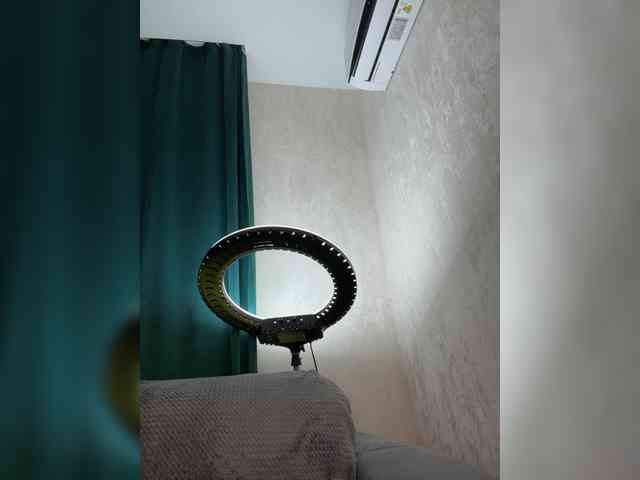 Ellidi webcam