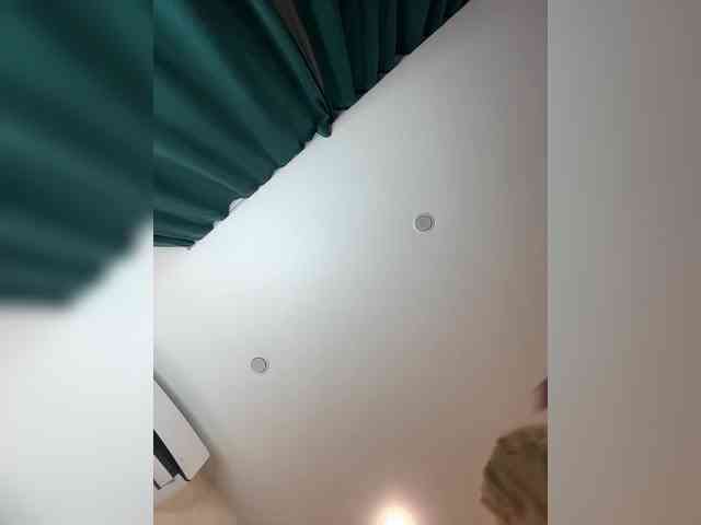 real web cam Ellidi