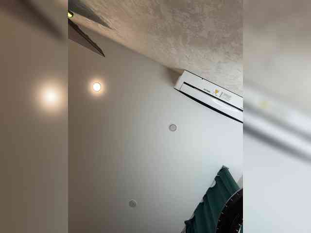 Ellidi webcam