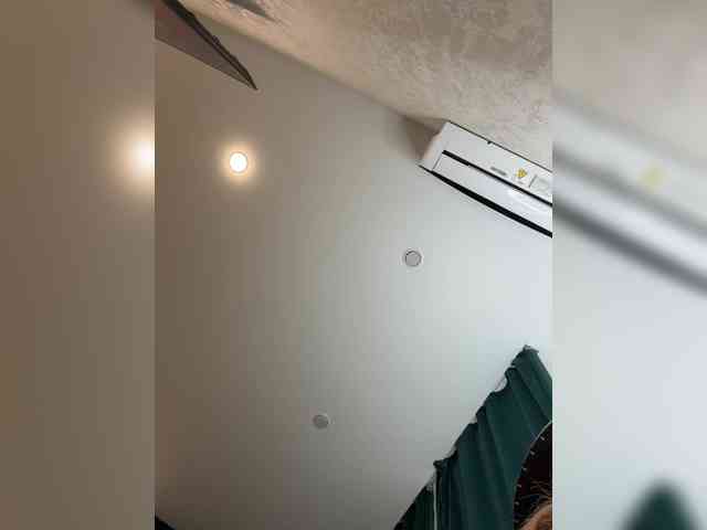 Ellidi webcam