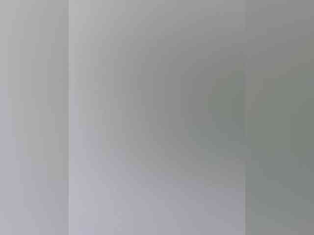 Ellidi webcam