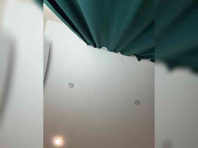 Ellidi webcam