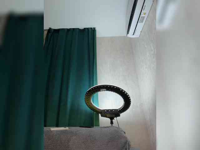 Ellidi webcam