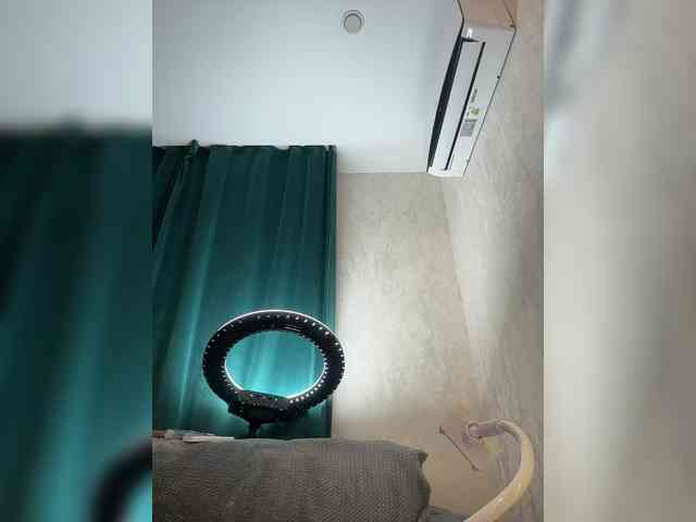 Ellidi webcam