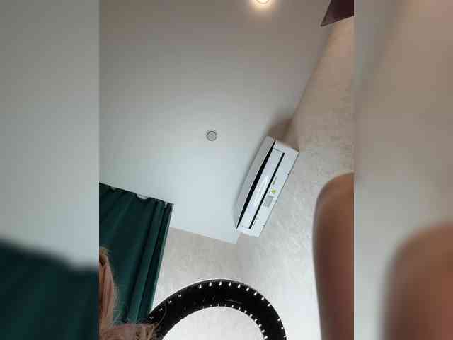 Ellidi webcam