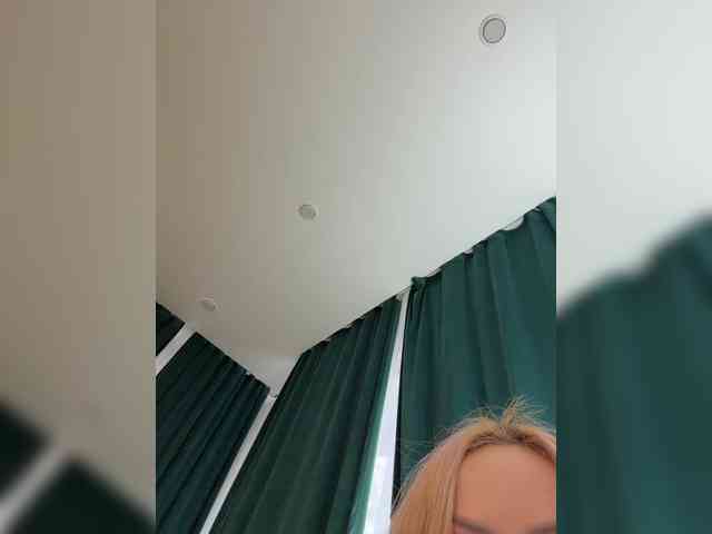 Ellidi webcam