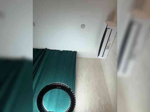 Ellidi webcam