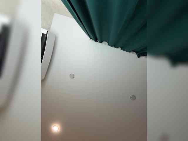 Ellidi webcam
