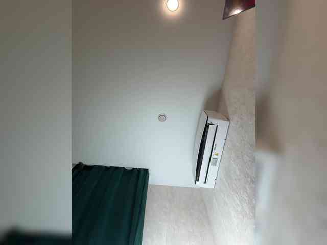 Ellidi webcam