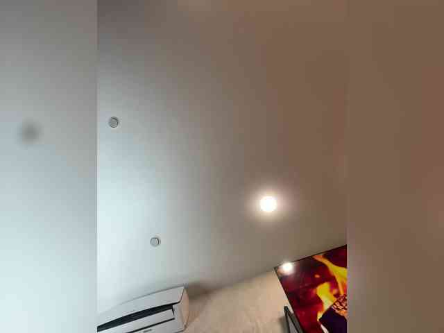 Ellidi webcam