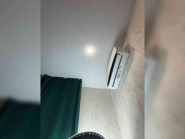 Ellidi webcam