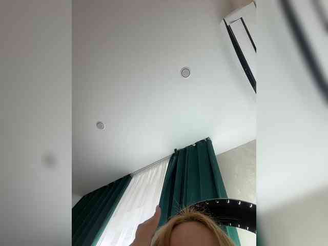 Ellidi webcam