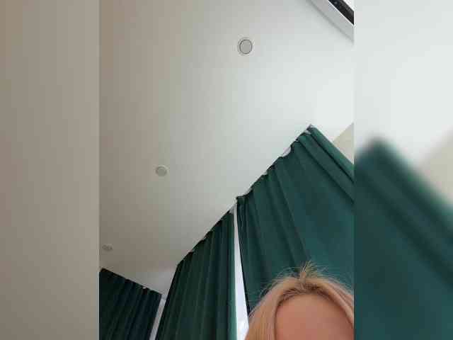 Ellidi webcam