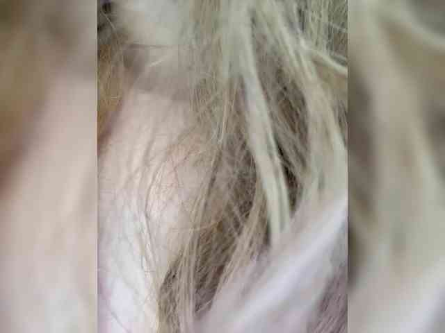 chat webcam Ellidi