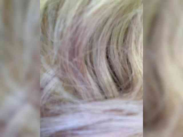 Ellidi webcam
