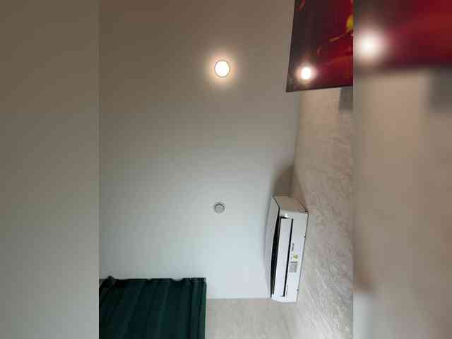 Ellidi webcam