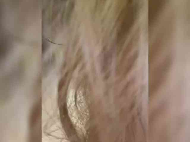 Ellidi's webcam live show
