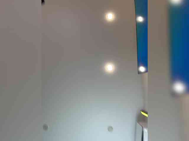 onerror='this.onerror=null;loadblack(this);'Ellidi