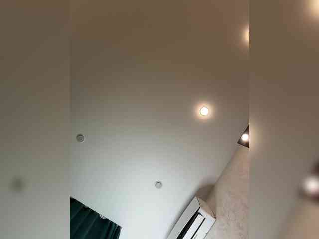 Ellidi webcam