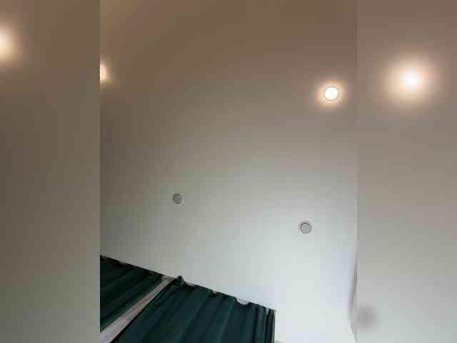 Ellidi webcam