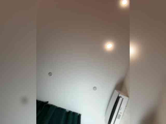 Ellidi webcam