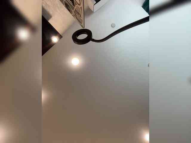Ellidi webcam
