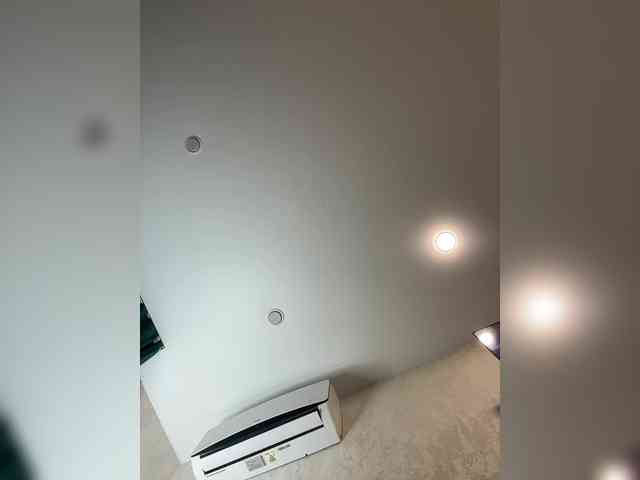 Ellidi webcam