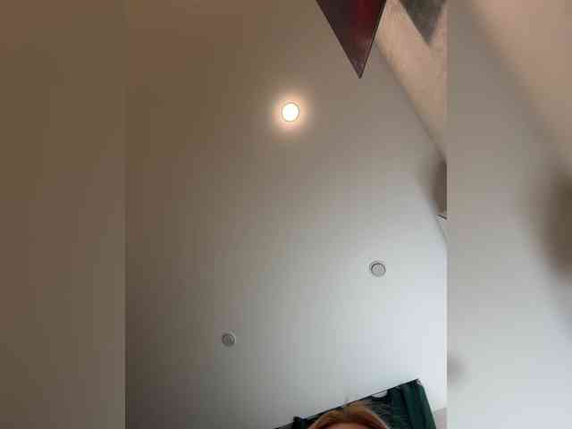 Ellidi webcam