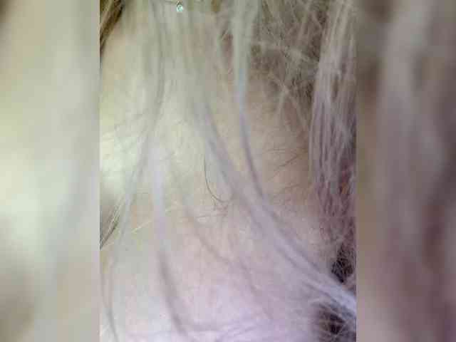 Ellidi webcam