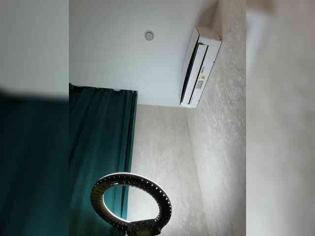 Ellidi webcam