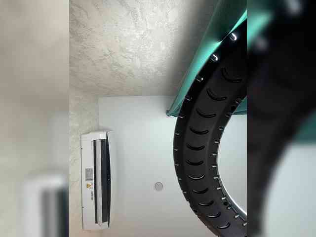 Ellidi webcam