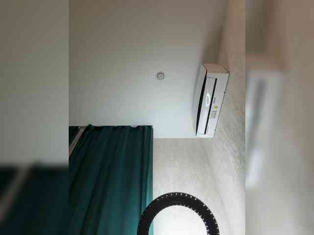 Ellidi webcam