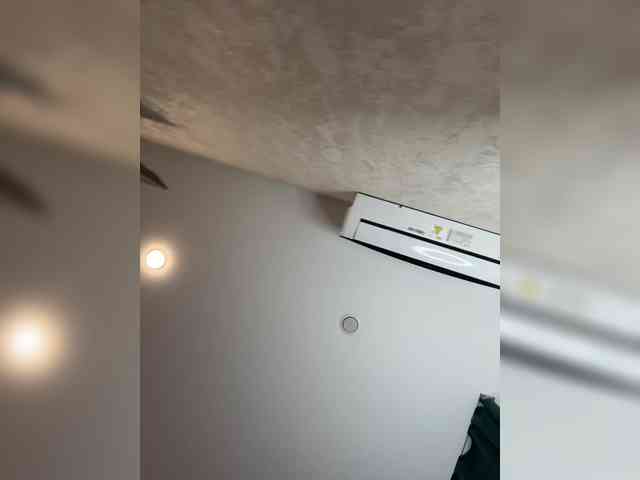 Ellidi webcam