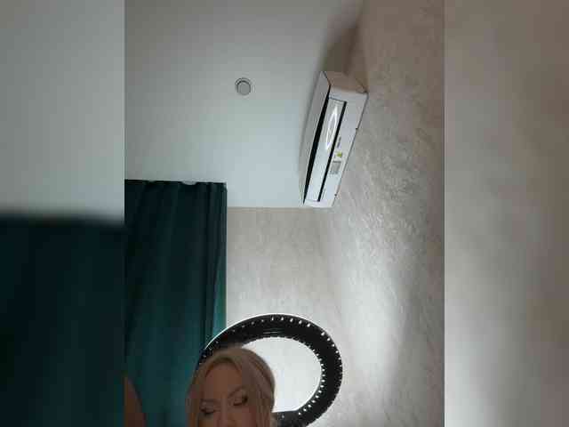 Ellidi webcam