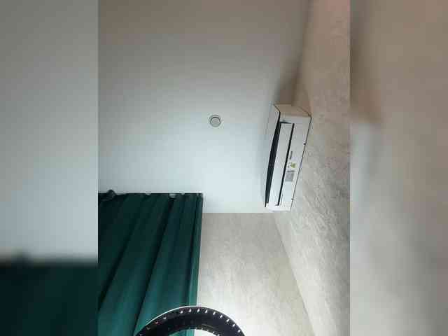 Ellidi webcam
