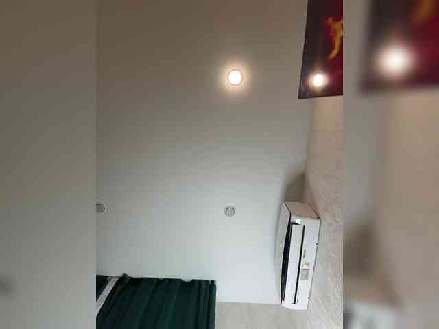 Ellidi webcam