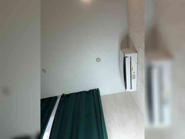 Ellidi webcam