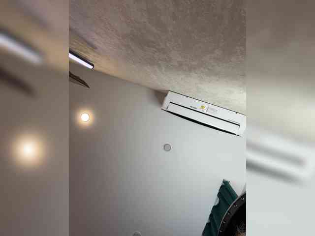 Ellidi webcam