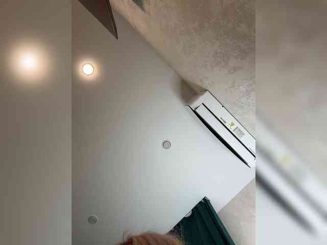 Ellidi webcam