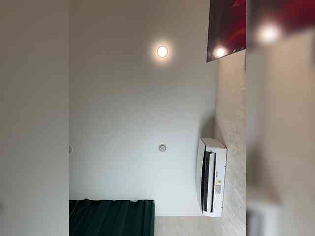 Ellidi's webcam live show