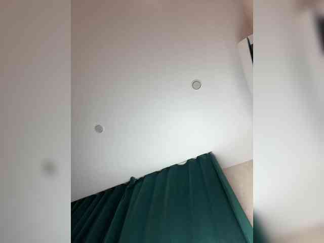 Ellidi webcam