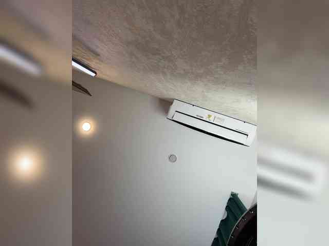 Ellidi webcam