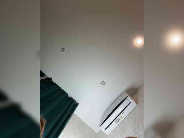 Ellidi webcam