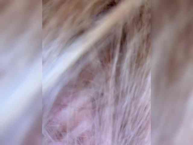 Ellidi Live Webcam on BongaCams