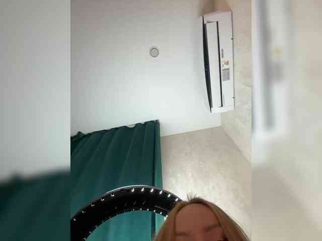live webcam Ellidi