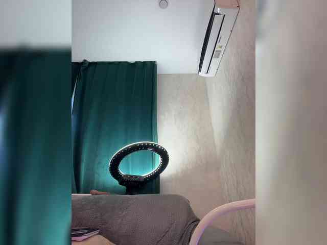 Ellidi webcam