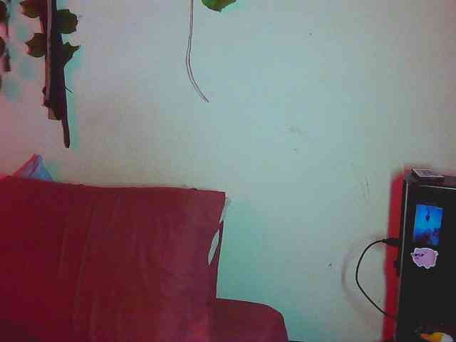 caribbeanlov4couple webcam