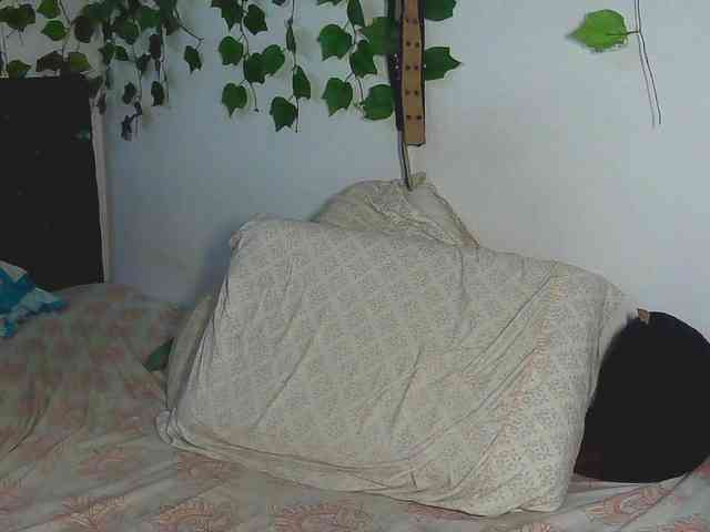 caribbeanlov4 webcam
