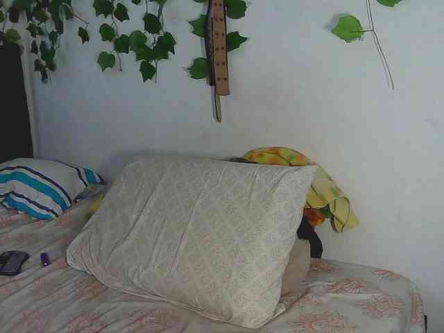 caribbeanlov4 webcam